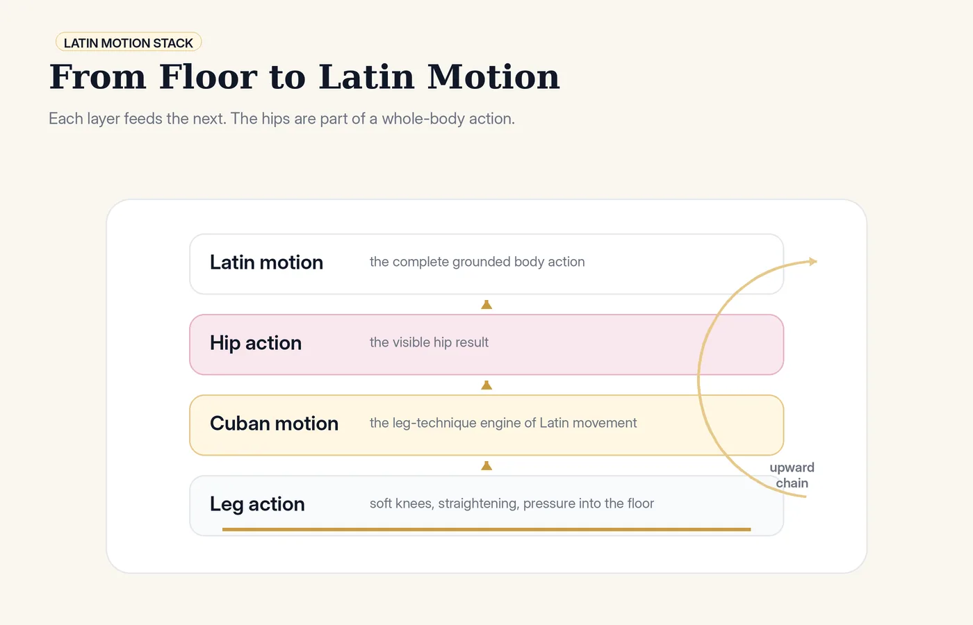 The Latin motion stack: leg action creates Cuban motion, which creates the visible hip action.