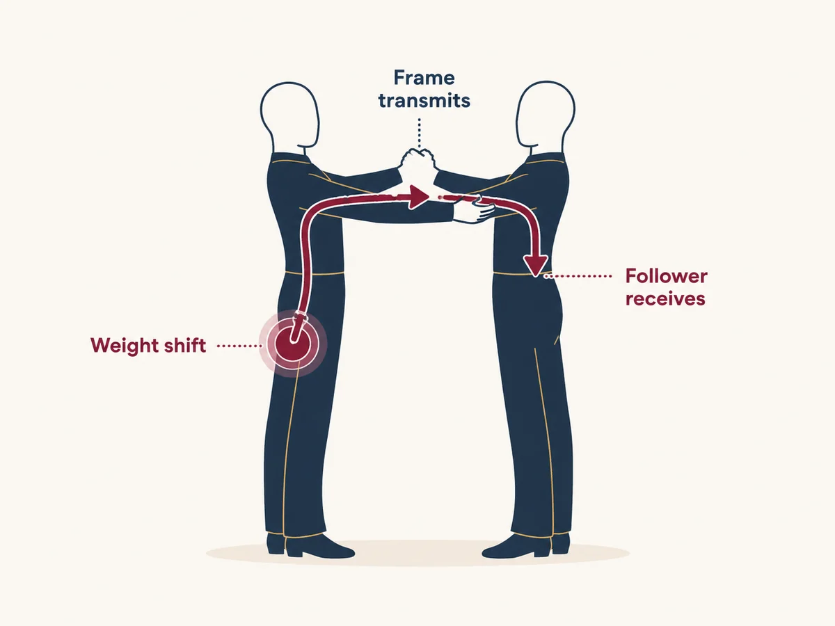 Diagram showing how lead travels from the leader's body through the frame to the follower in ballroom dance.