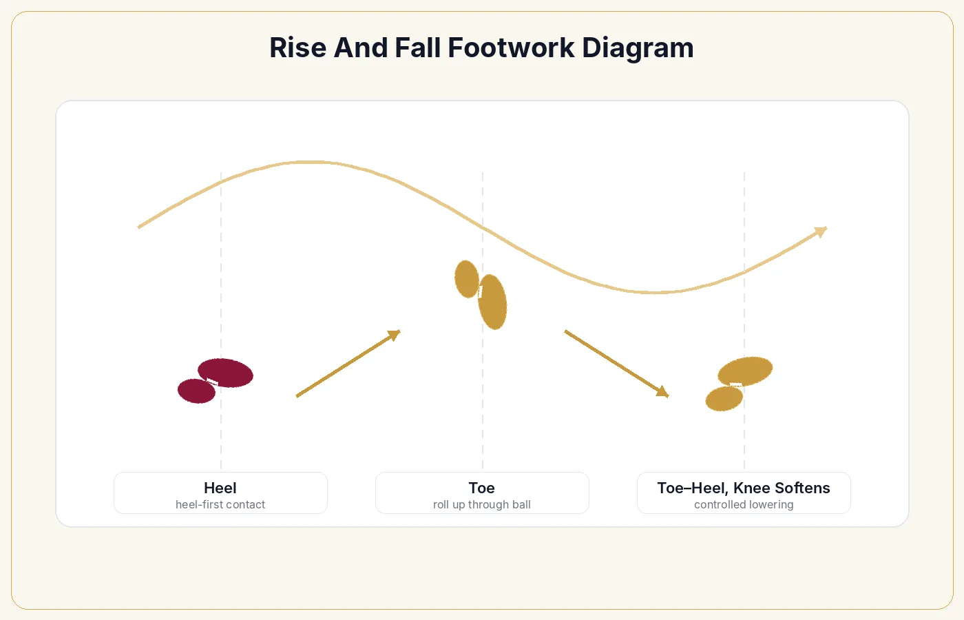 Rise and fall footwork: heel leads at the low point, rolling up to the toes through the rise, then lowering toe to heel.